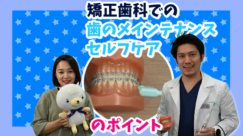 矯正歯科での歯のメインテナンス、セルフケアのポイントを教えてください