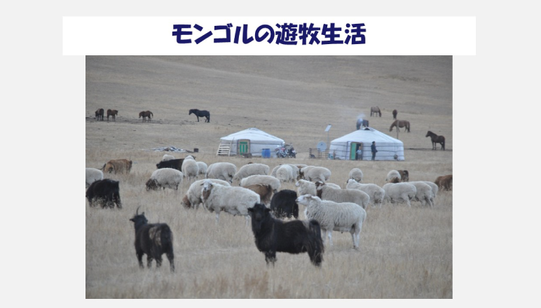 発達期における咬合の変化 その19 モンゴル遊牧民の食生活と口腔