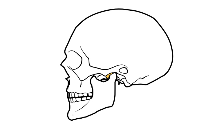 随想「顎変型症の人たち」―顎の矯正の手術 第2回：メンタル要素からの期待と現実