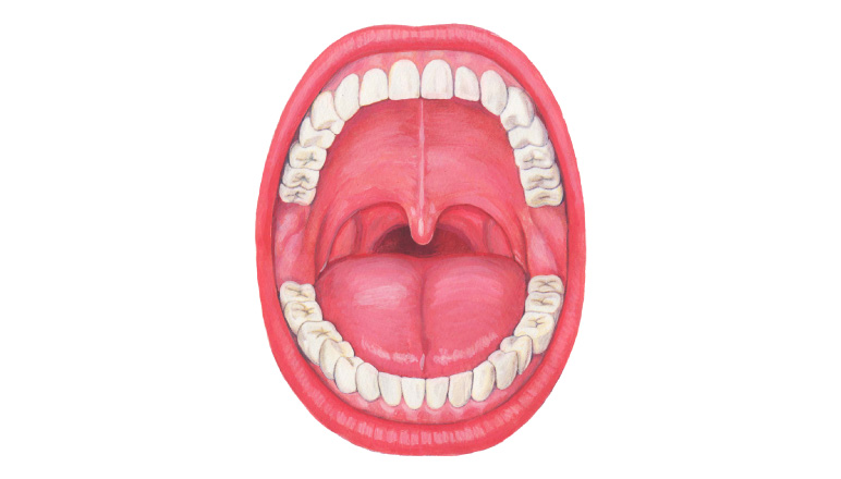 10年先を見据えた未来の歯科のあり方  第4回：口腔にも免疫があることを知っています？